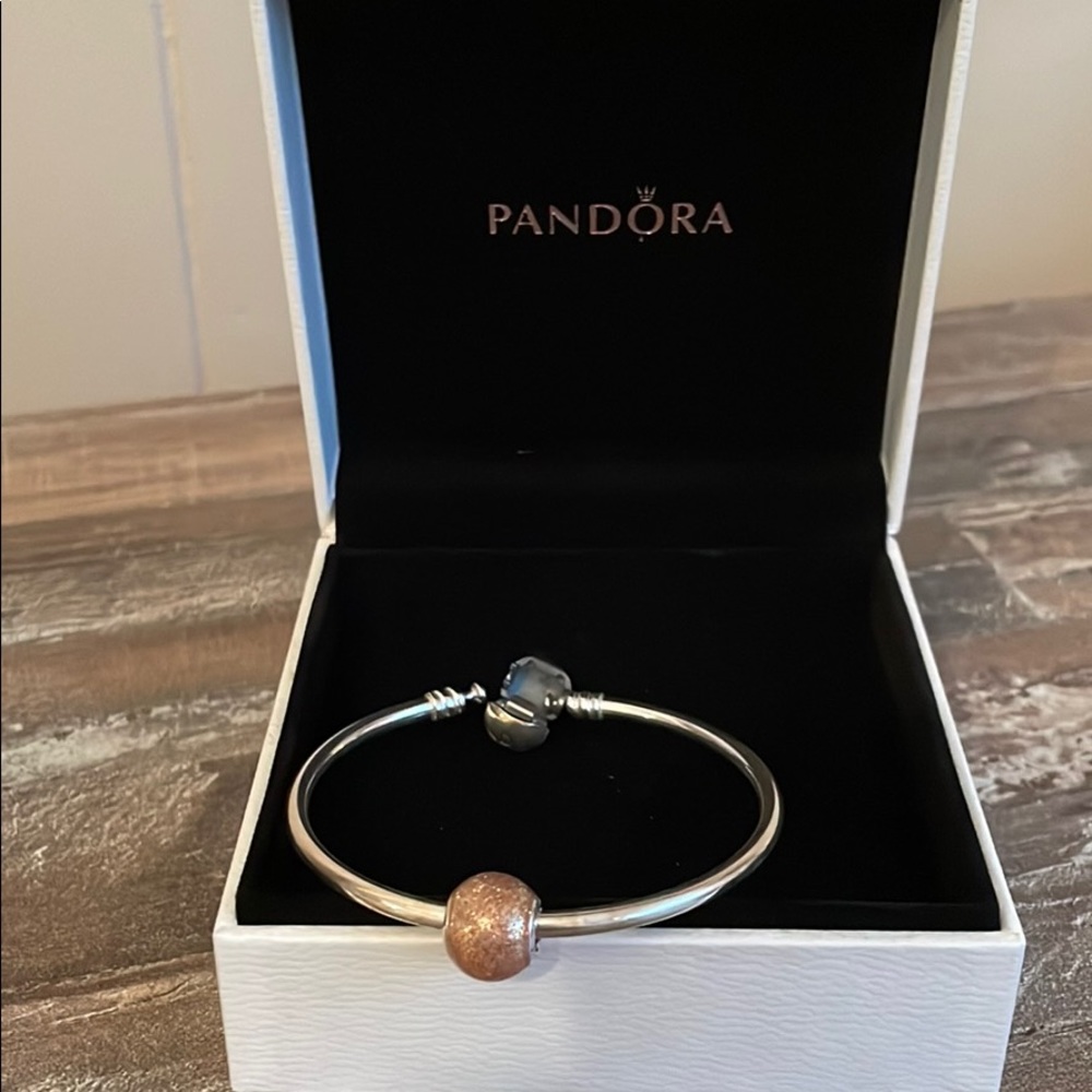 Pandora Bangle Bracelet with charm